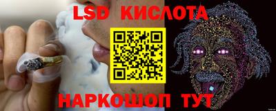 ПСИЛОЦИБИНОВЫЕ ГРИБЫ Гай