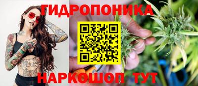 ПСИЛОЦИБИНОВЫЕ ГРИБЫ Гай