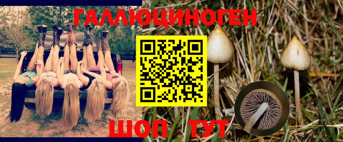 купить   Вход с VPN  Псилоцибиновые грибы Psilocybe  Семёнов  Галлюциногенные грибы мухоморы 